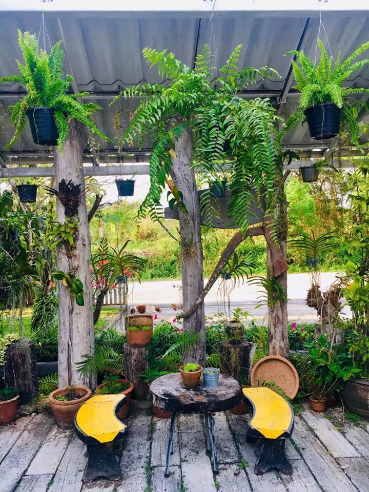 Mech Mansion Hotel Chiang Rai Exterior photo